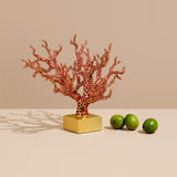 Coral Centerpiece