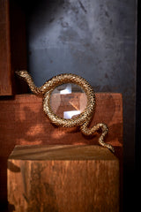 Snake Magnifying Glass - Small